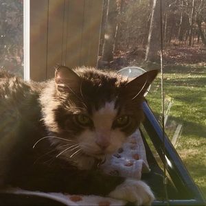 Meet your Posher, Wendy